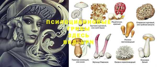 jwh Алзамай